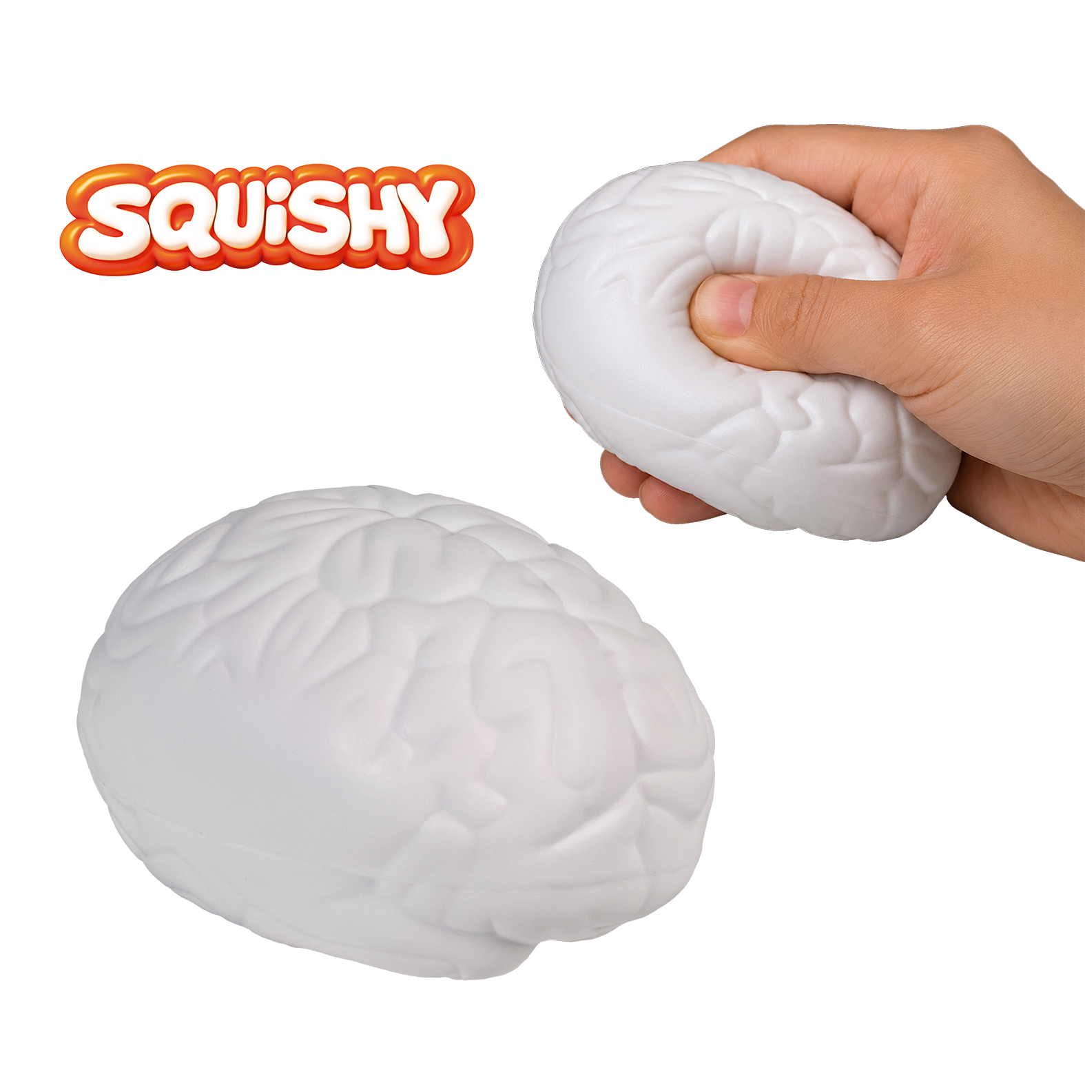 "Cerebro squishy personalizado en poliuretano para educación y psicología"